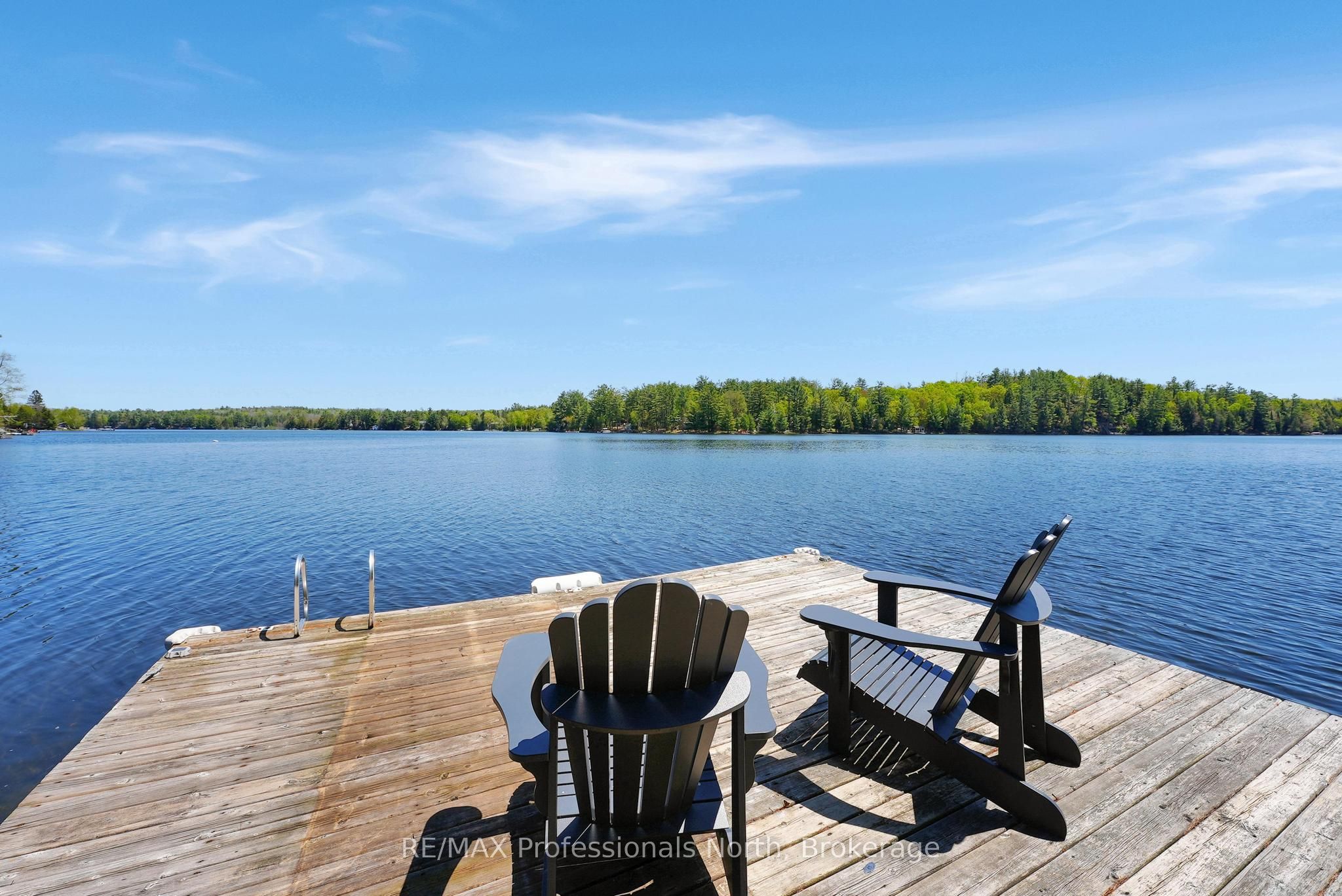 1366 Hospitality Road, Minden Hills, ON K0M 2K0 photo 4