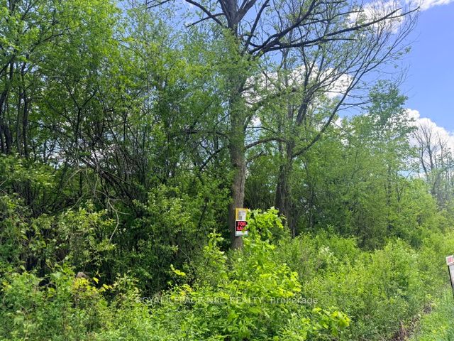 V/L CENTRALIA Avenue N, Fort Erie, ON L0S 1N0