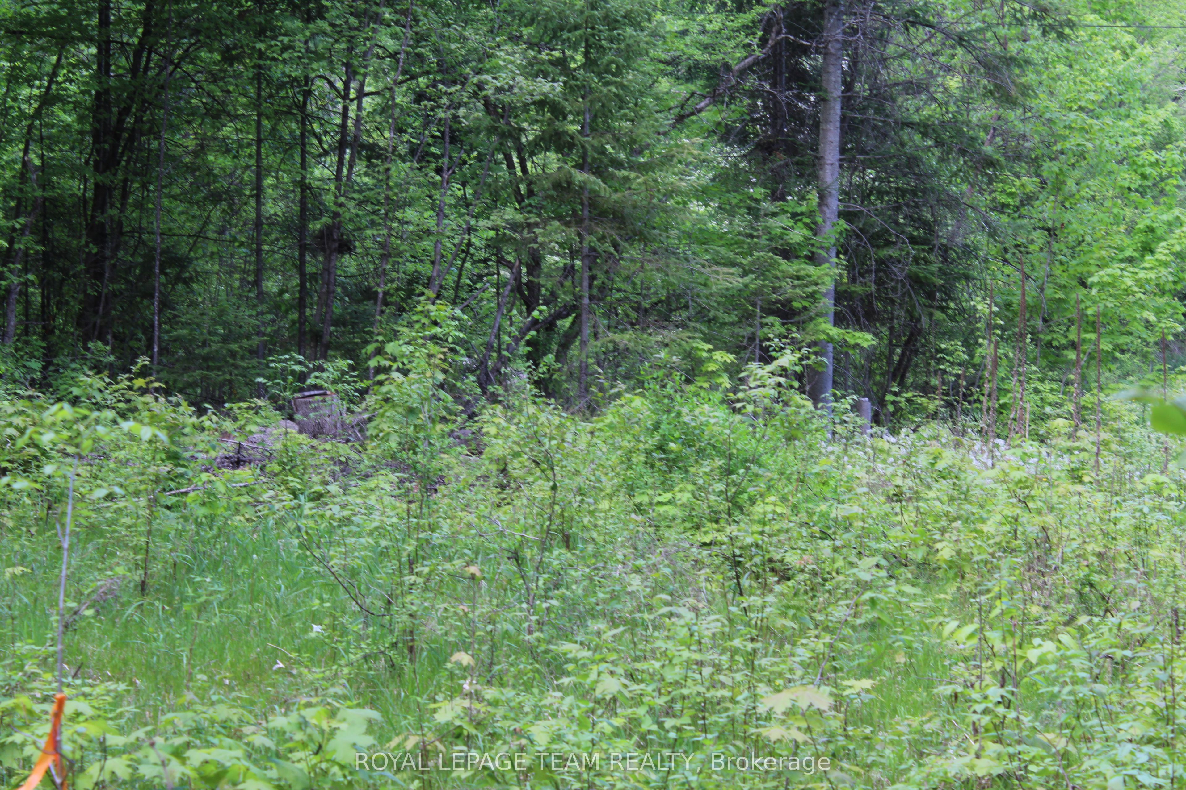112 Mitchell Lane, McNab/Braeside, ON K7S 3G8 photo 5