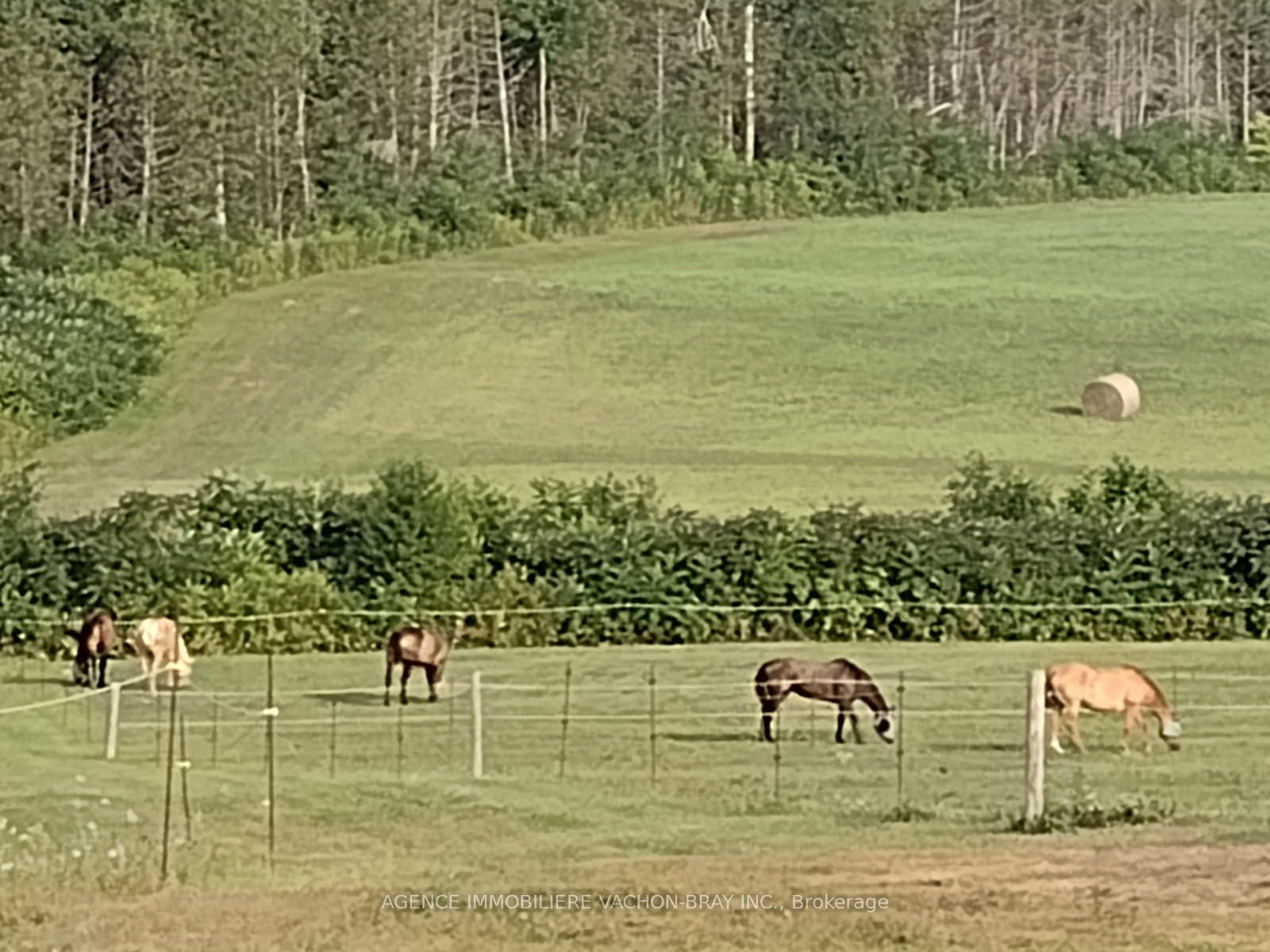 21237 Concession 6 Road N, South Glengarry, ON K0C 1Z0 photo 5