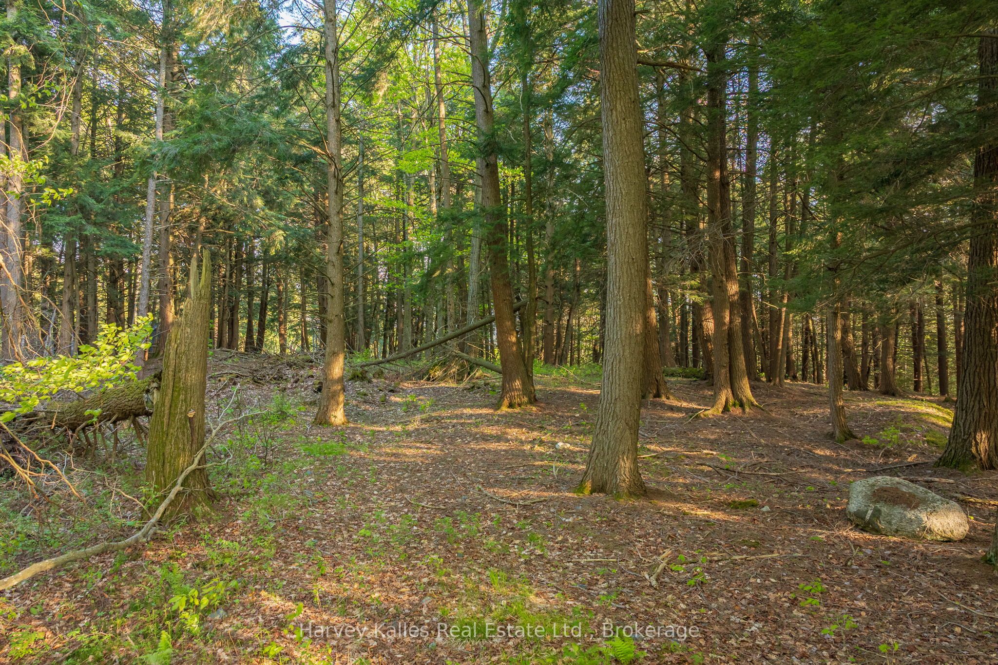 38 Gryffin Bluffs Lane Lot #8, Huntsville, ON P0B 1M0 photo 3