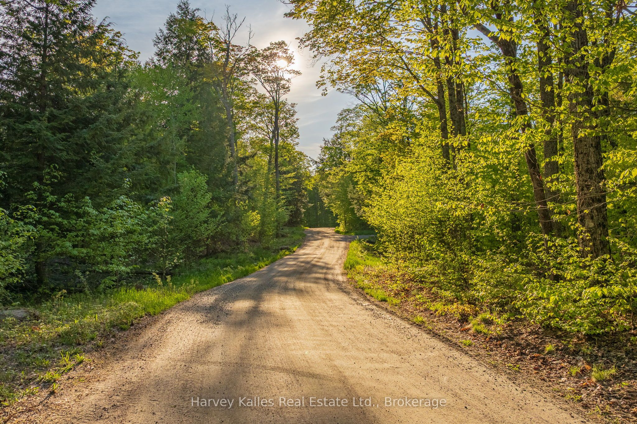 38 Gryffin Bluffs Lane Lot #8, Huntsville, ON P0B 1M0 photo 5