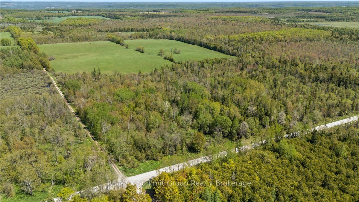 W PT LT 15 SIDEROAD 16B, Grey Highlands, ON N0C 1B0 photo 2