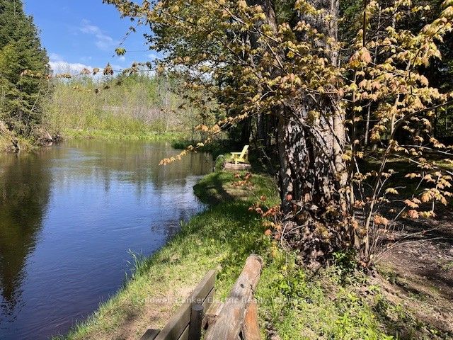 44 Lean Drive, North Kawartha, ON K0L 1A0 photo 3