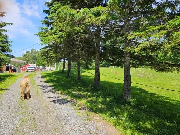 892 Secord Road, Sudbury Remote Area, ON P3E 4N1 photo 5