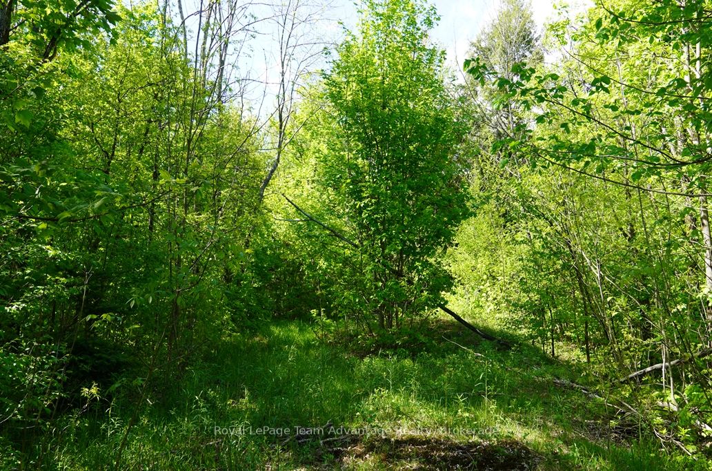 0 Hurdville Road S, McKellar, ON P2A 0B5 photo 5