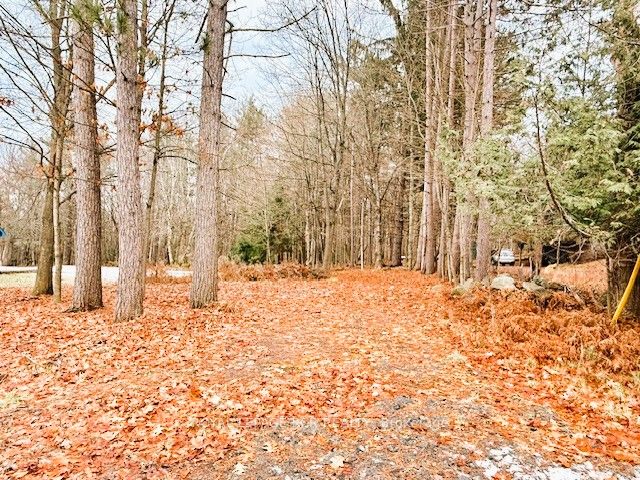 93 TOWN LINE Road W, Huntsville, ON P1H 1S6 photo 3