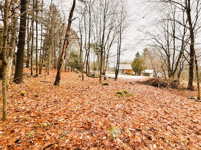 93 TOWN LINE Road W, Huntsville, ON P1H 1S6 photo 5