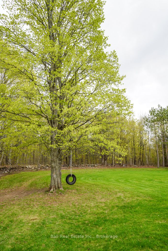 493 Old Marmora Road, Madoc, ON K0K 2K0 photo 3