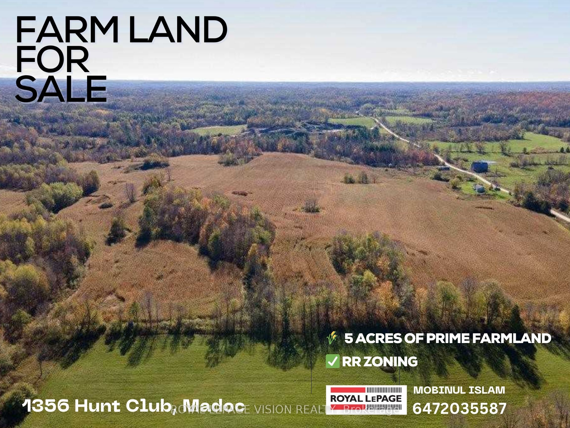 1356 Hunt Club Road E, Madoc, ON K0K 2K0 photo 2