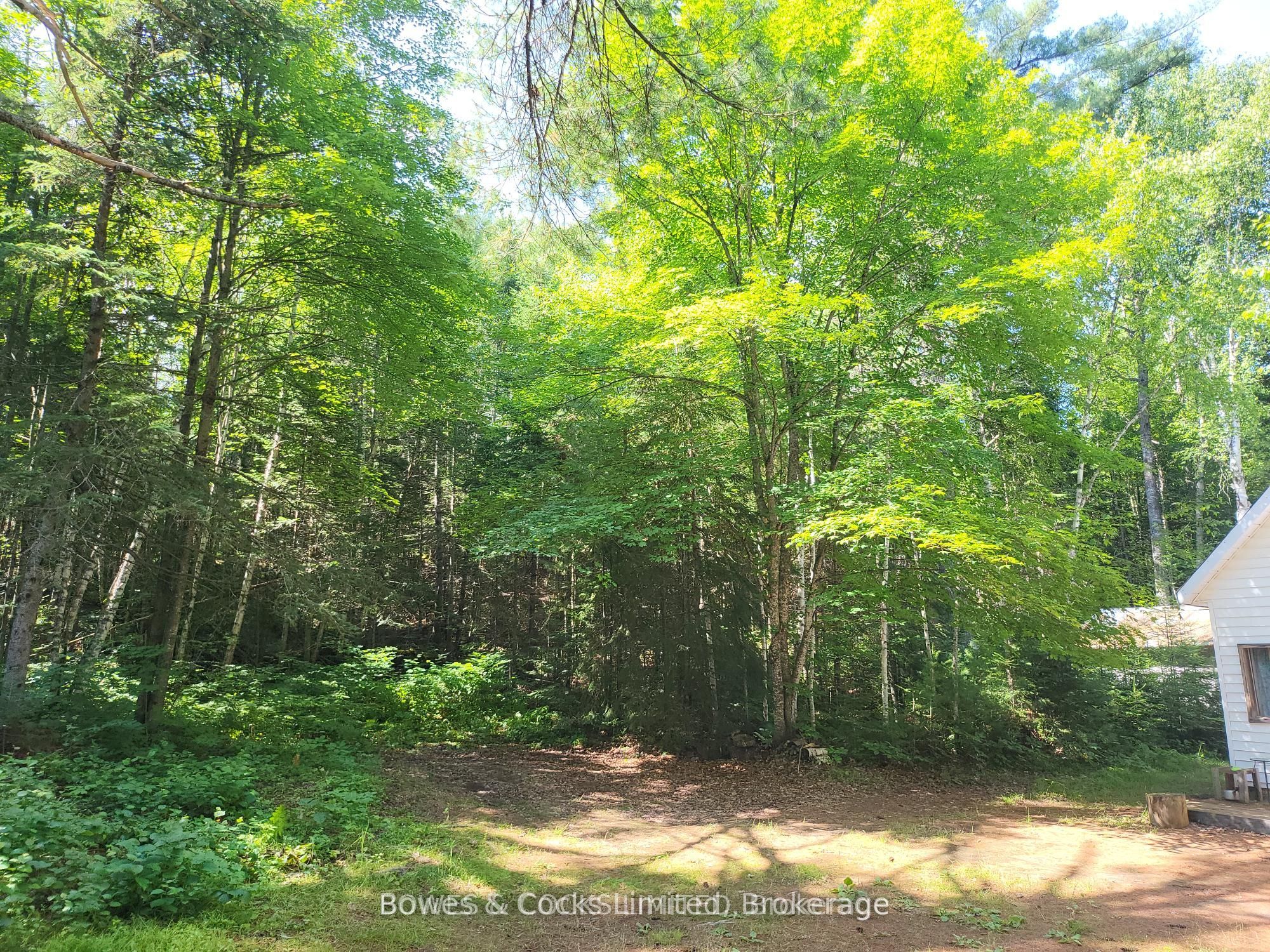 24 Robinson Road, Hastings Highlands, ON K0L 2S0 photo 3