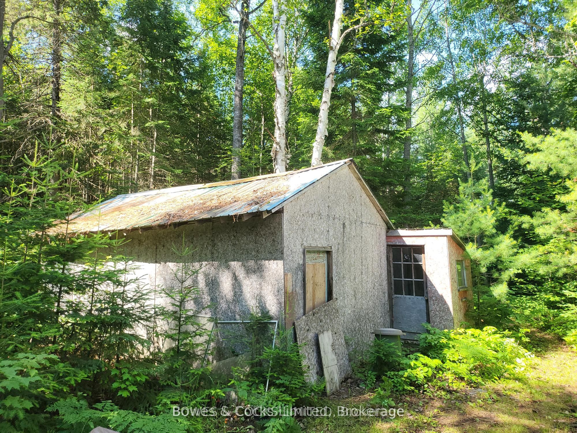 24 Robinson Road, Hastings Highlands, ON K0L 2S0 photo 4