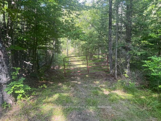 905 & 841 North McKenzie Lake Road, South Algonquin, ON K0J 2M0