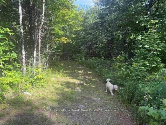 905 & 841 North McKenzie Lake Road, South Algonquin, ON K0J 2M0 photo 2