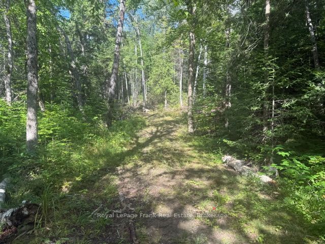 905 & 841 North McKenzie Lake Road, South Algonquin, ON K0J 2M0 photo 4