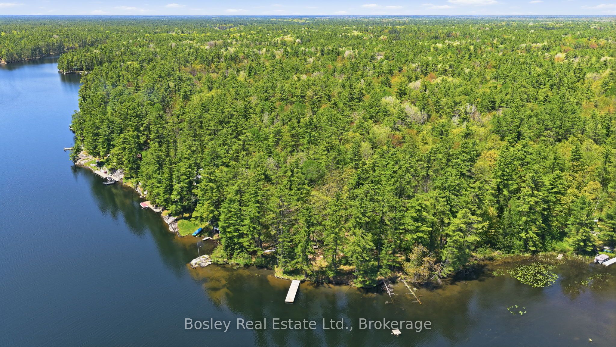 19 SR404 Severn River Shore, Muskoka Lakes, ON L0K 1E0 photo 3