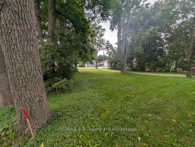 305 Hall Street, Ingersoll, ON N5C 1V8 photo 4