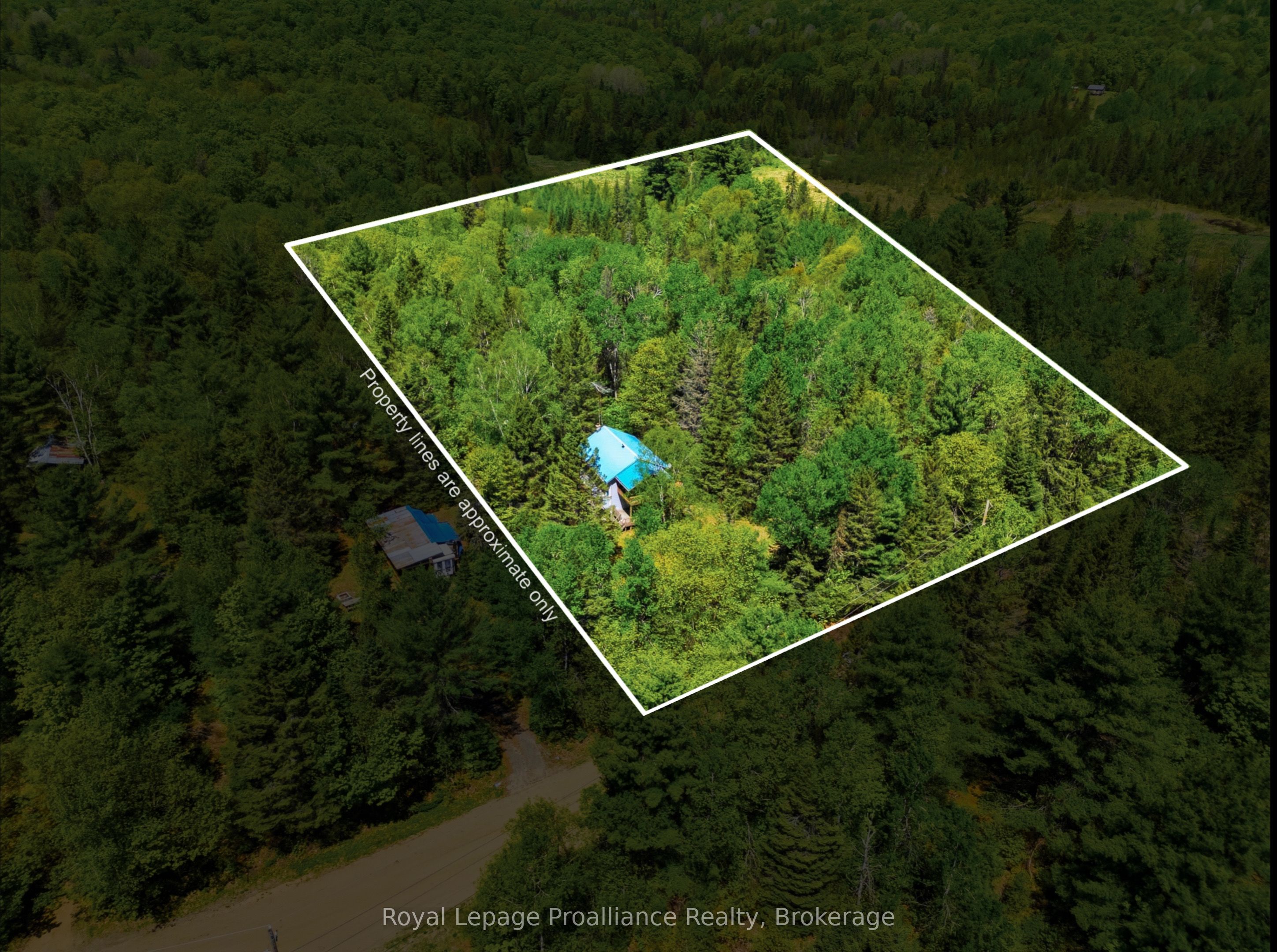 339 Little Finch Lake Road, Addington Highlands, ON K0H 1K0 photo 5