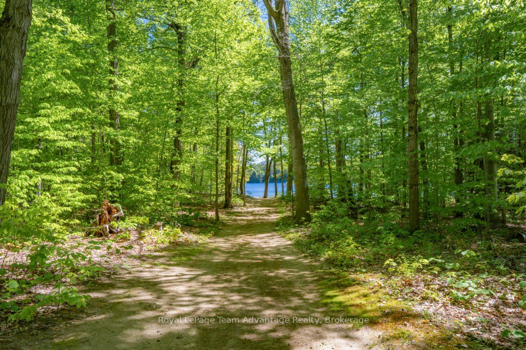 34 Beechwood Lane, Seguin, ON P2A 0B2 photo 3