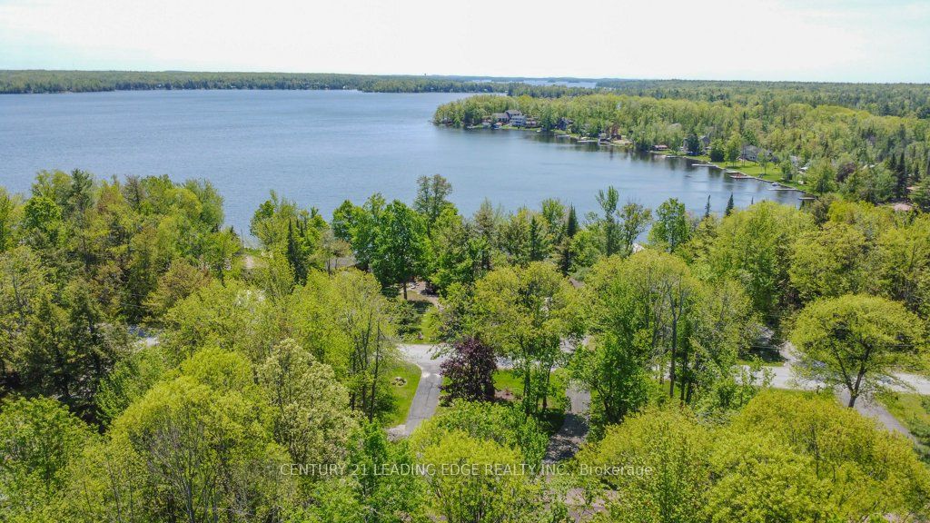 166 Adam And Eve Road, Trent Lakes, ON K0L 1J0 photo 2