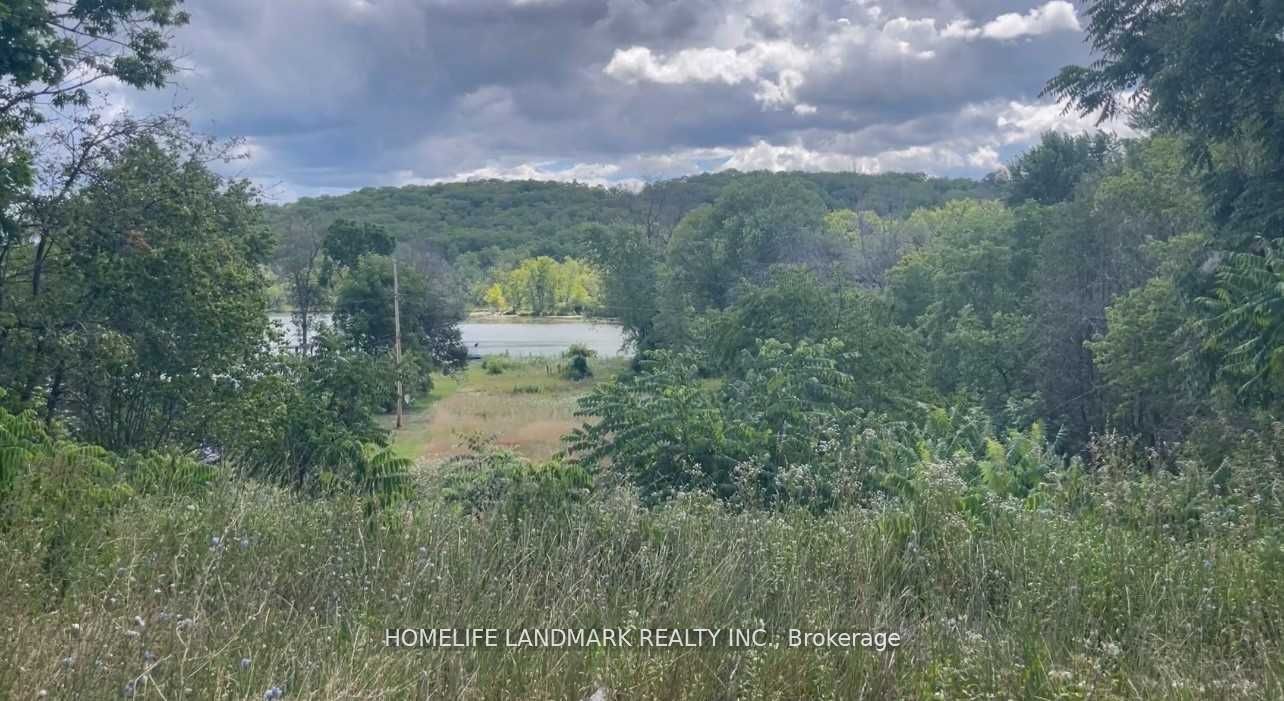 1355 County Rd 45 N/A, Asphodel-Norwood, ON K0L 2V0 photo 4