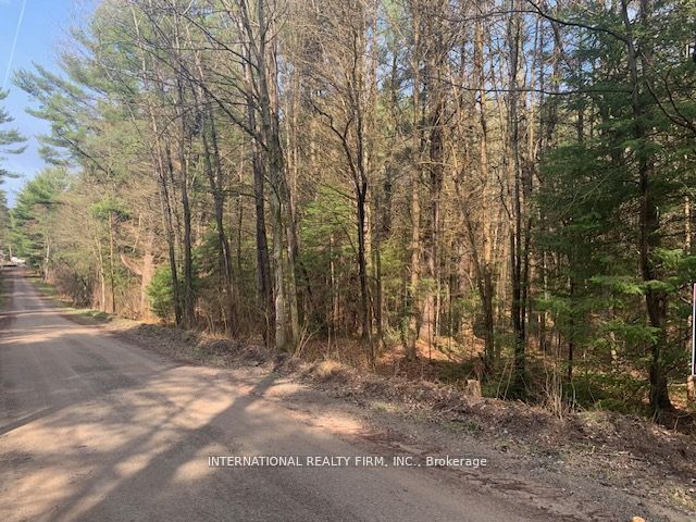 0 The Ave Road N, Kawartha Lakes, ON K0M 2A0