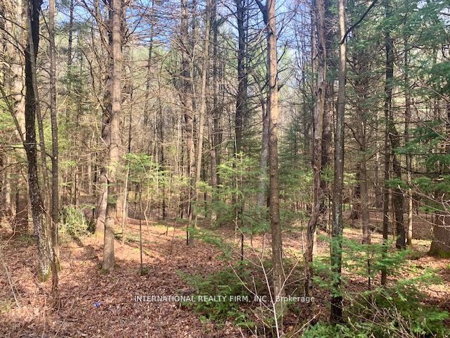 0 The Ave Road N, Kawartha Lakes, ON K0M 2A0 photo 2