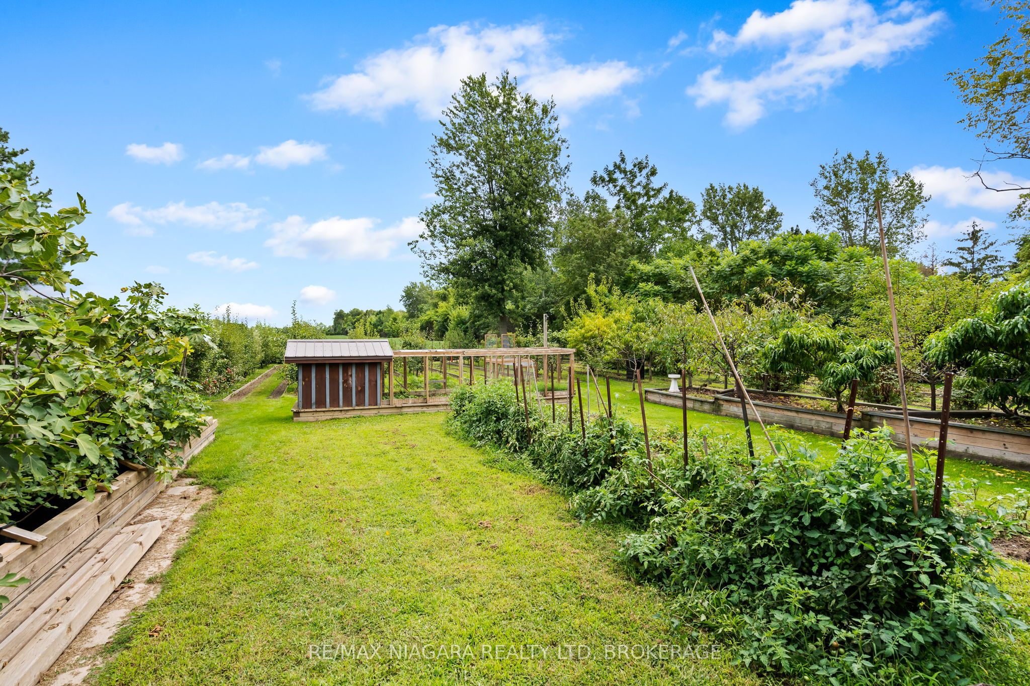 63023 Perry Road, Wainfleet, ON L0R 2J0 photo 4