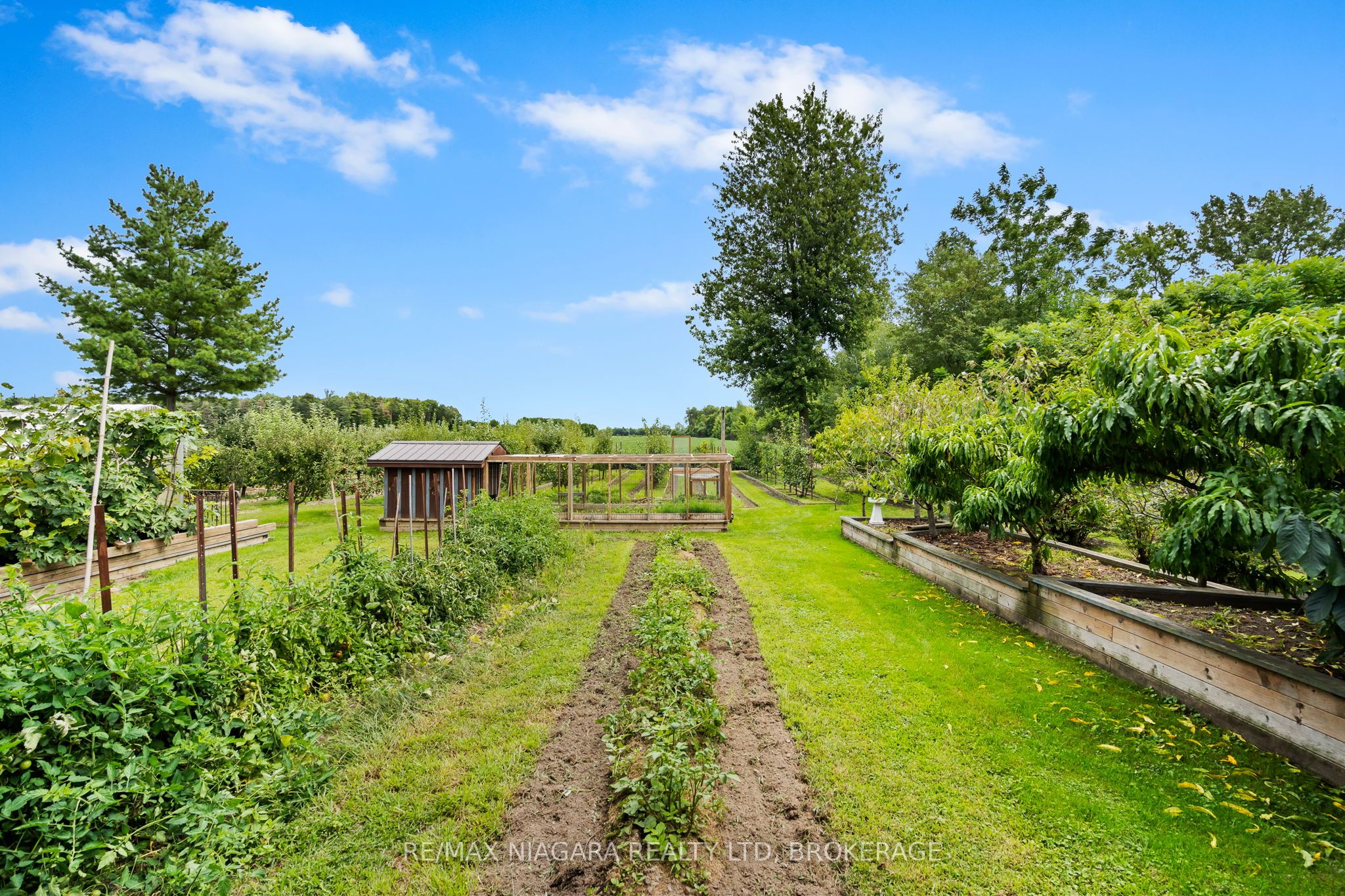63023 Perry Road, Wainfleet, ON L0R 2J0 photo 5