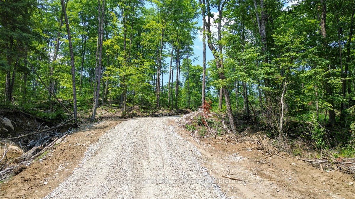 0 Airport Road, Highlands East, ON K0L 1C0 photo 3
