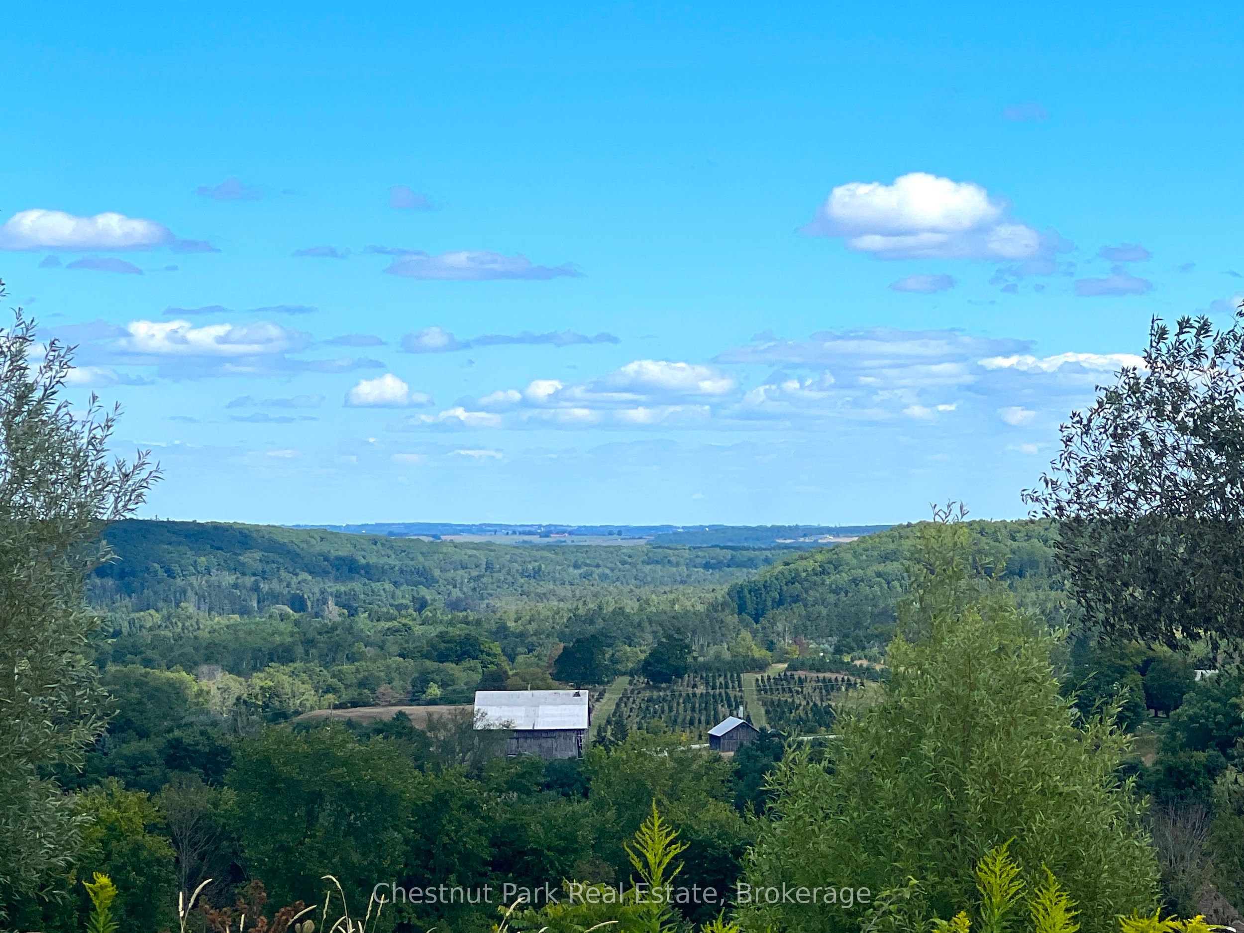 628190 15 SideRd, Mulmur, ON L9V 0T9 photo 4
