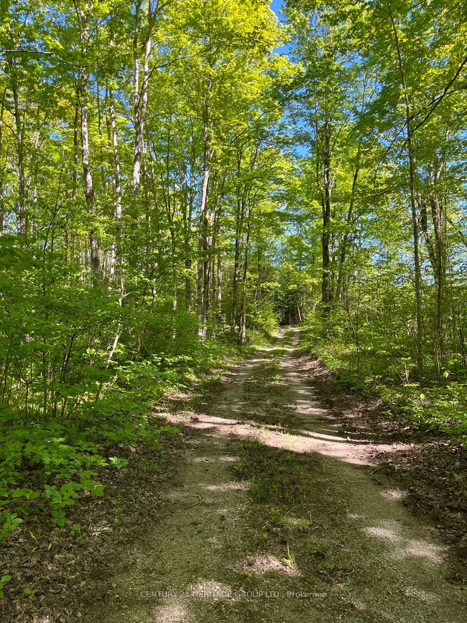 580223 SIDEROAD 60, Chatsworth, ON N0H 1C0 photo 5