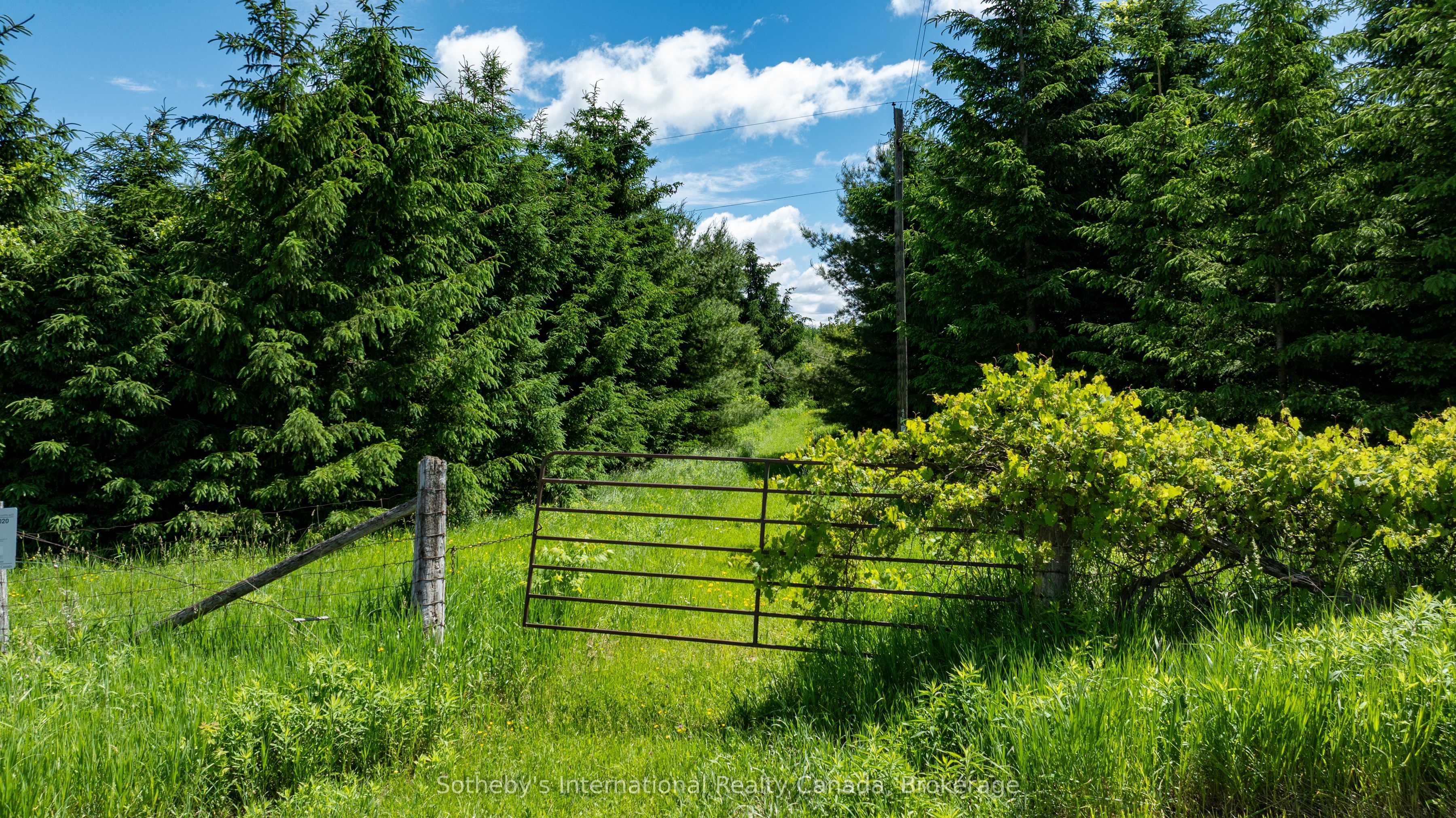 Lot 14 Con 2 1st Line E EHS, Mulmur, ON L9V 0G2 photo 2