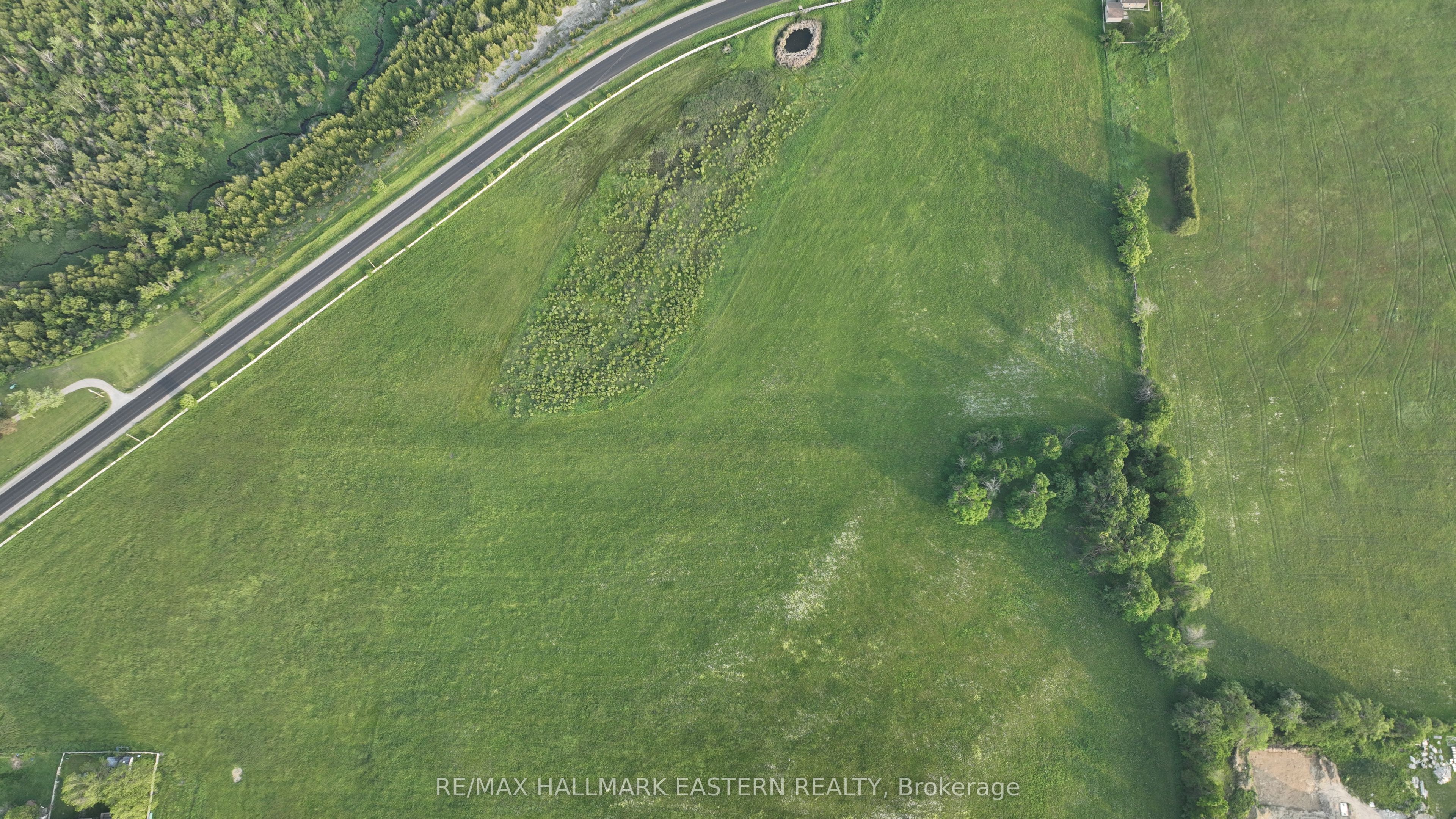 1412 Nassau Road, Douro-Dummer, ON K9J 6Y1 photo 4