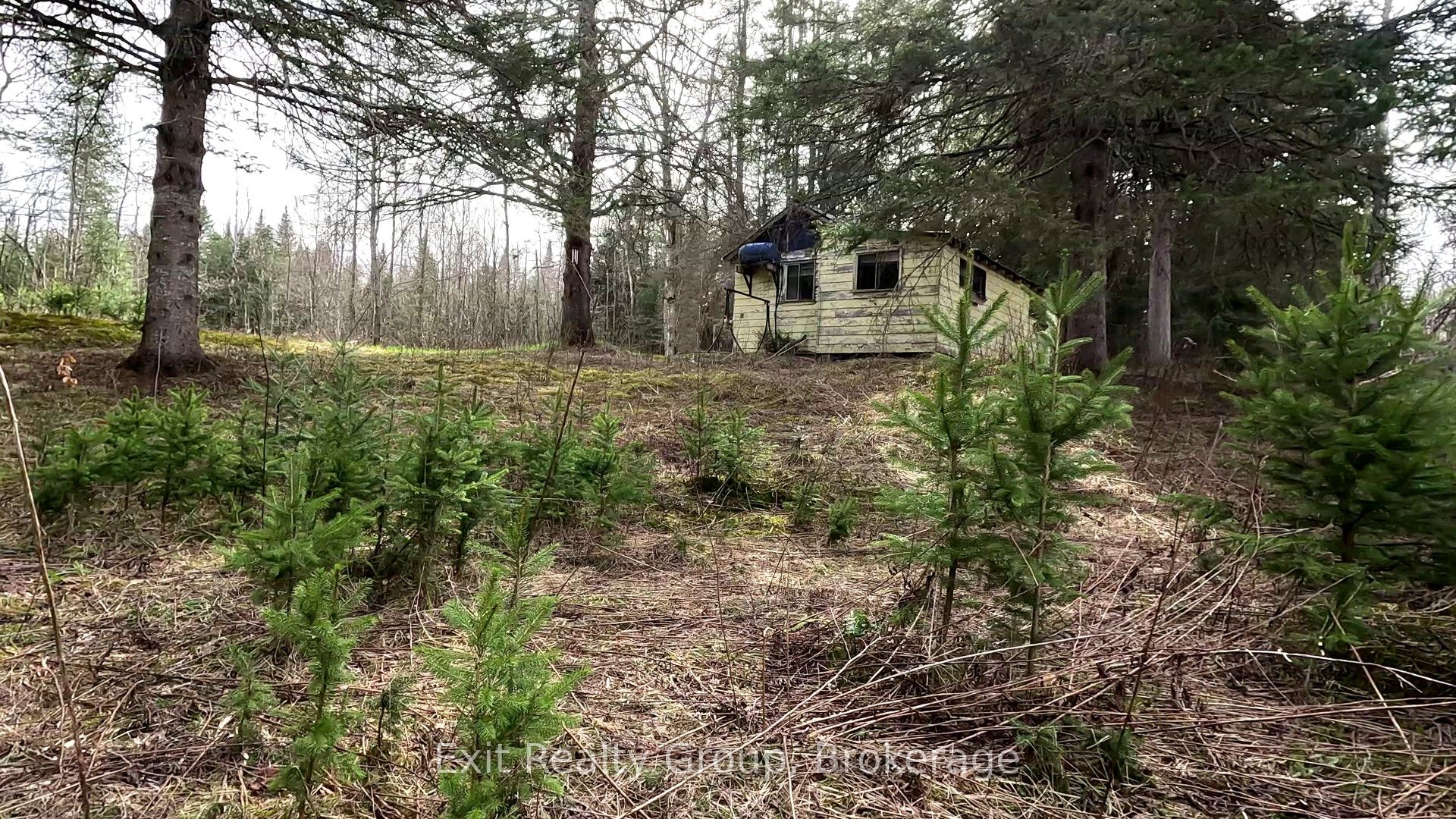 3606 County Road 620, North Kawartha, ON K0L 1A0