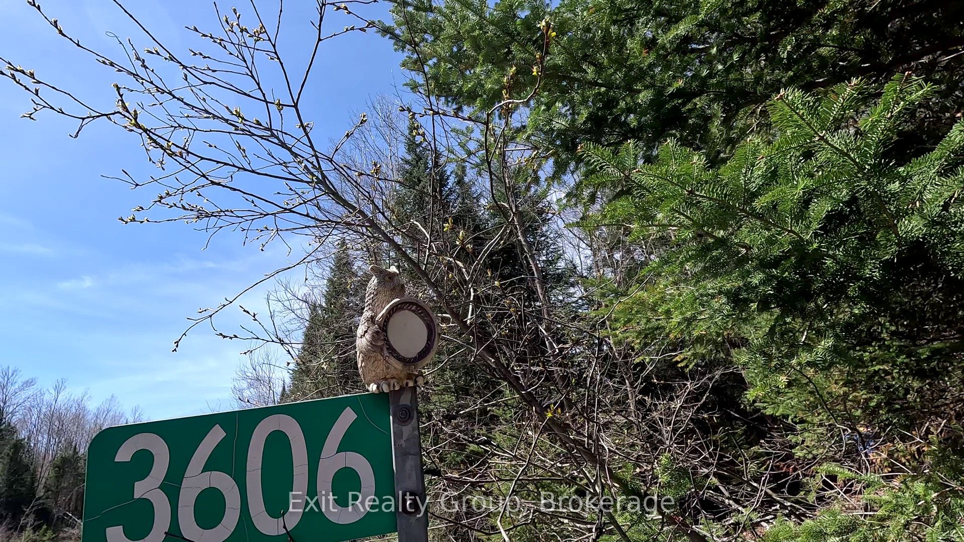 3606 County Road 620, North Kawartha, ON K0L 1A0 photo 2