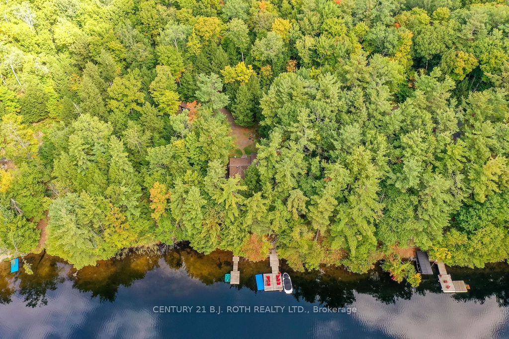 1213 Camp Jackson Road 24, Muskoka Lakes, ON P0C 1H0 photo 4