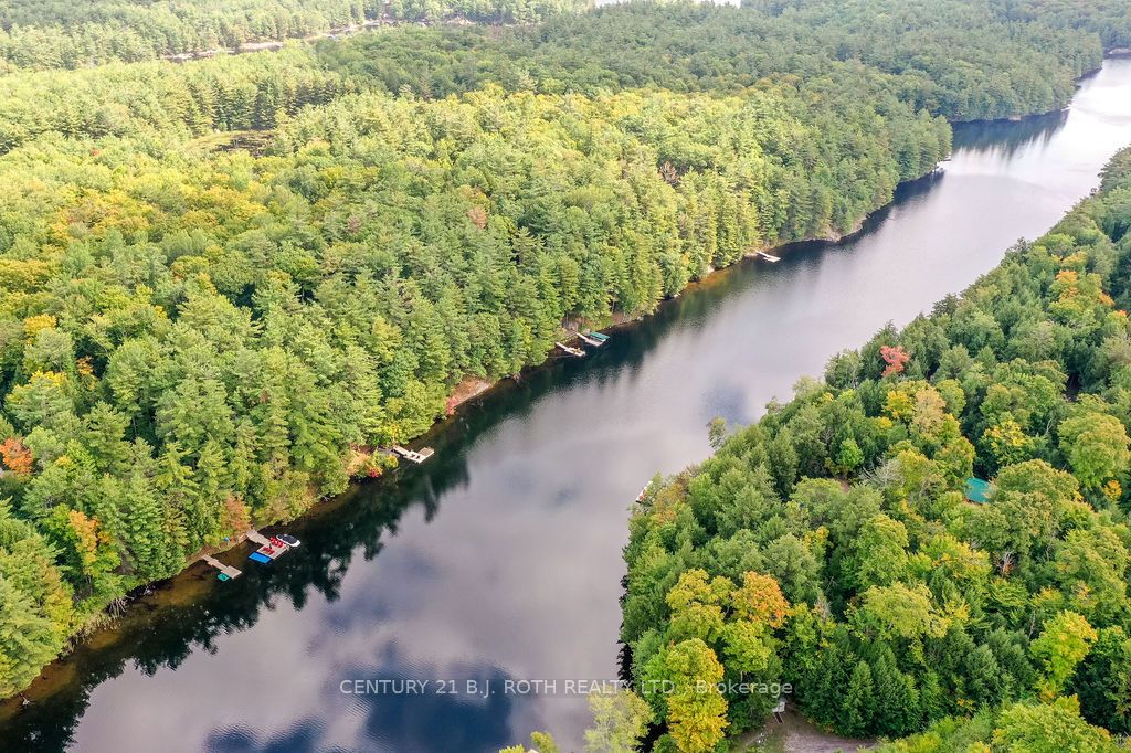 1213 Camp Jackson Road 24, Muskoka Lakes, ON P0C 1H0 photo 5