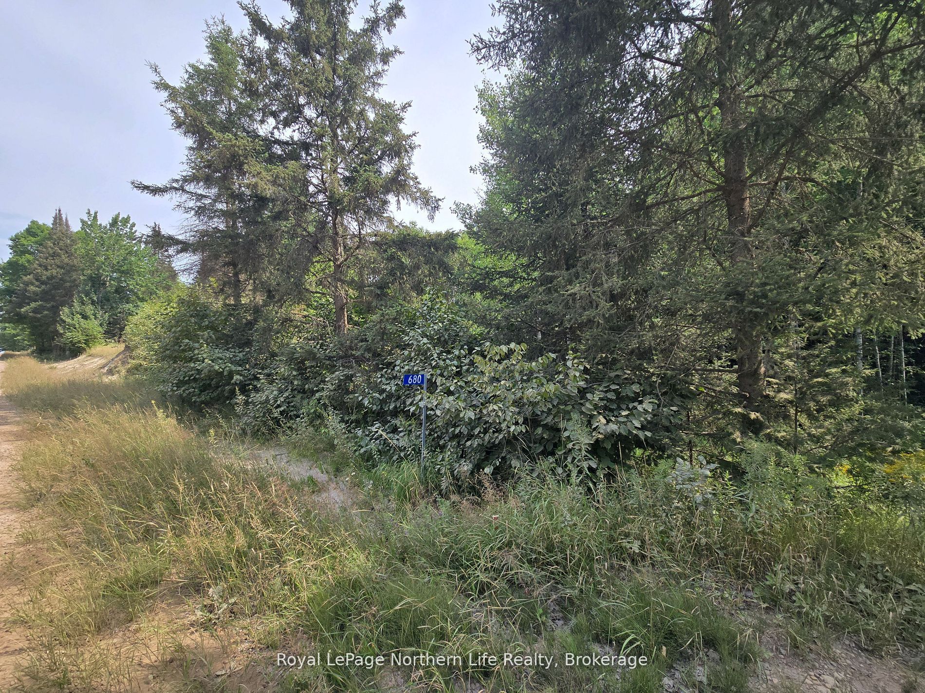 680 Mount Pleasant Road, Calvin, ON P0H 2E0 photo 2