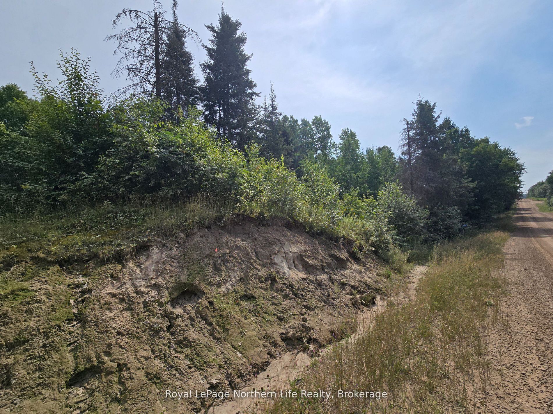 680 Mount Pleasant Road, Calvin, ON P0H 2E0 photo 3