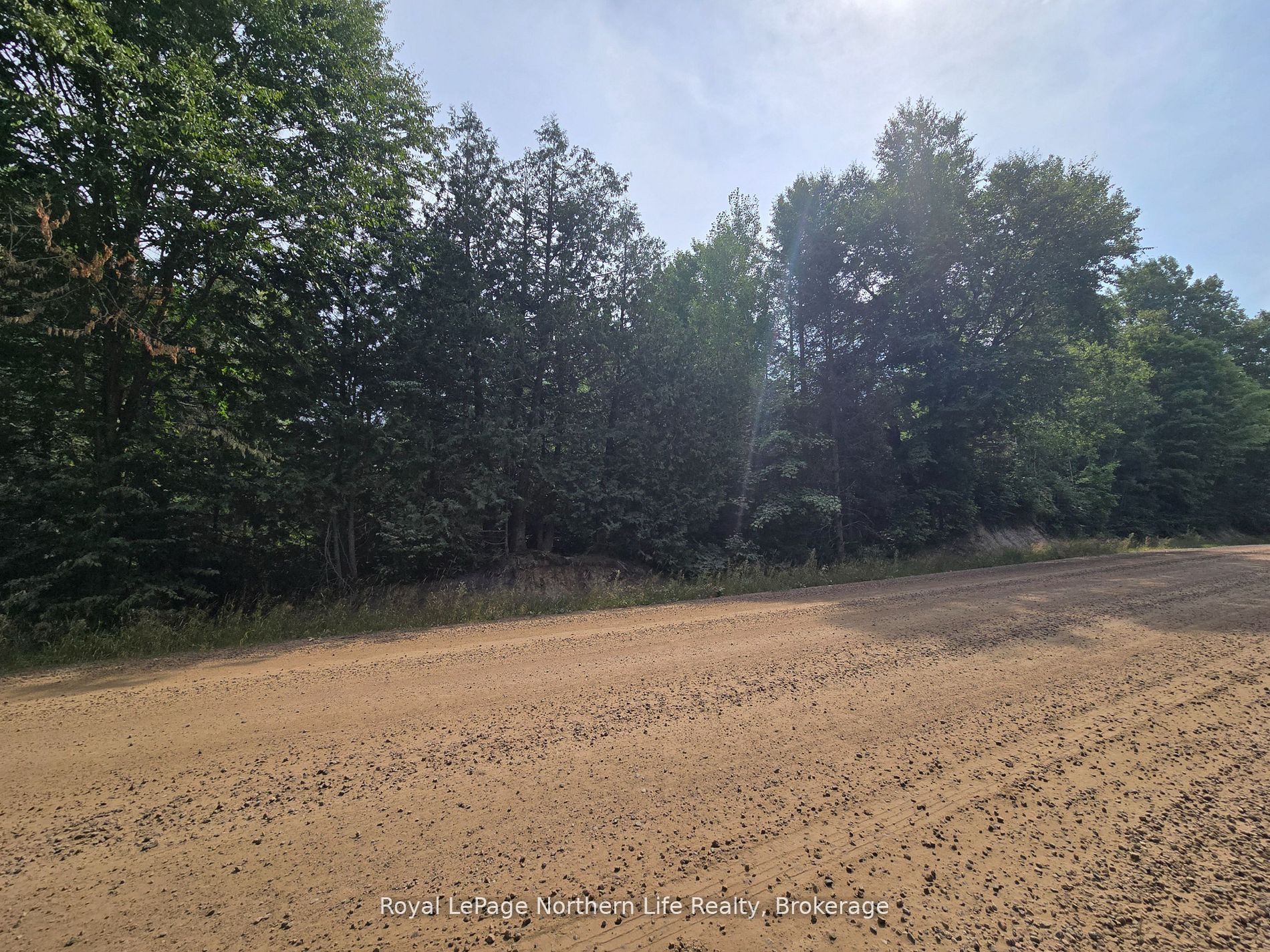 680 Mount Pleasant Road, Calvin, ON P0H 2E0 photo 4