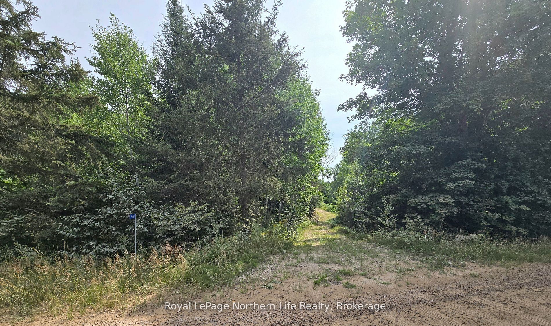 680 Mount Pleasant Road, Calvin, ON P0H 2E0 photo 5