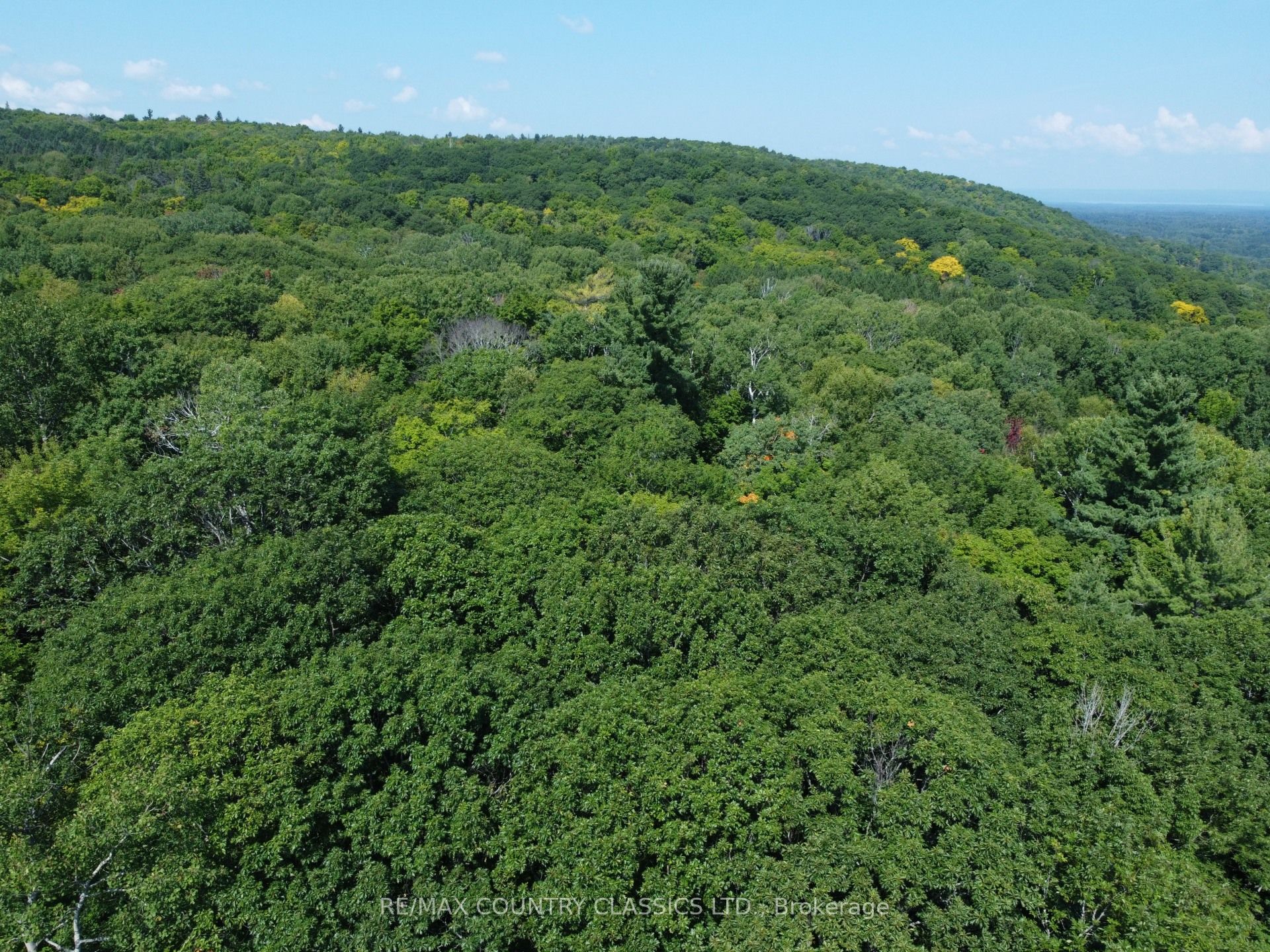 388 O'GRADY SETTLEMENT Road, Killaloe, Hagarty and Richards, ON K0J 2A0 photo 3