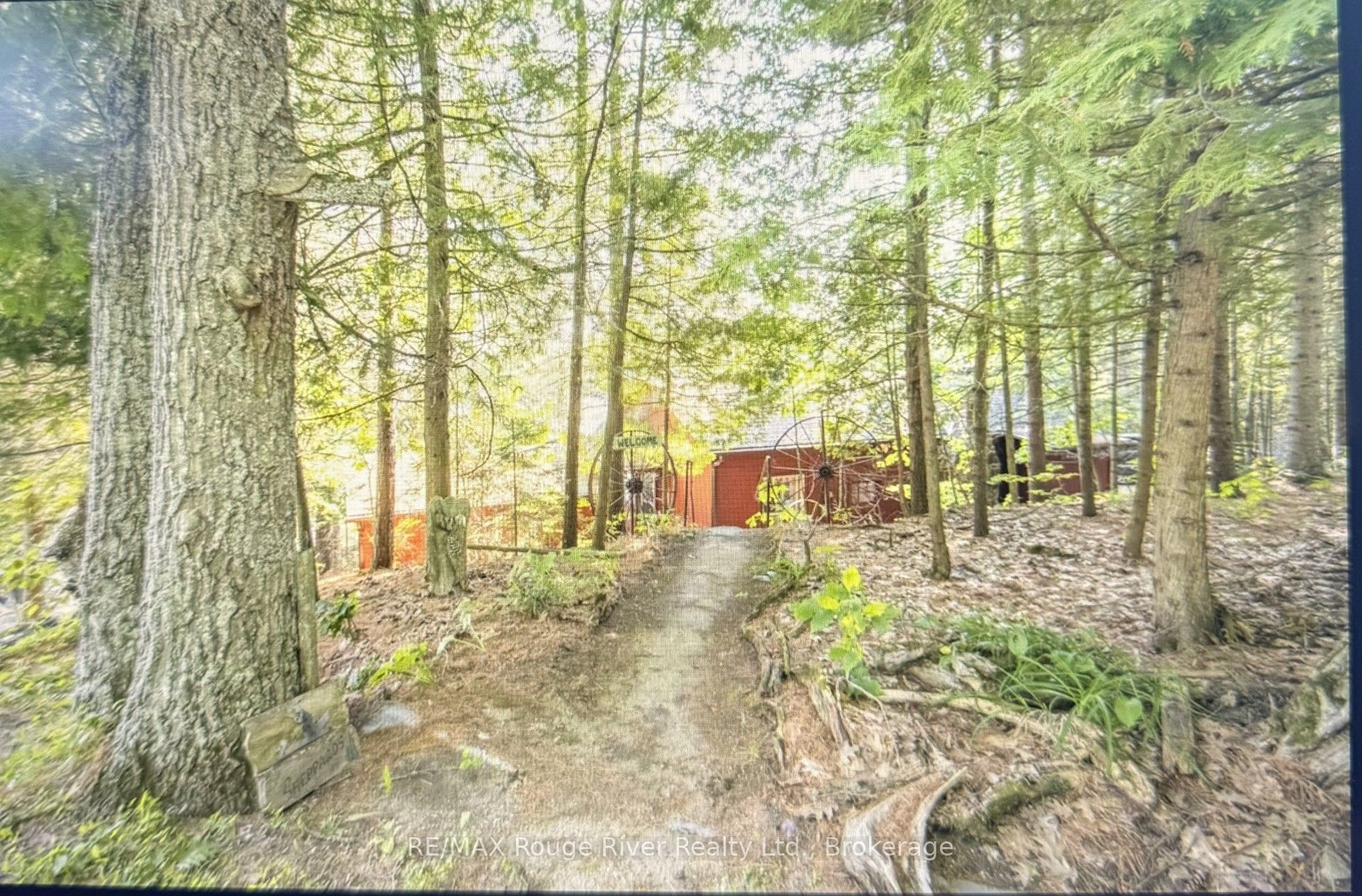 1246 Sugar Bush Lane, Minden Hills, ON K0M 2K0 photo 5
