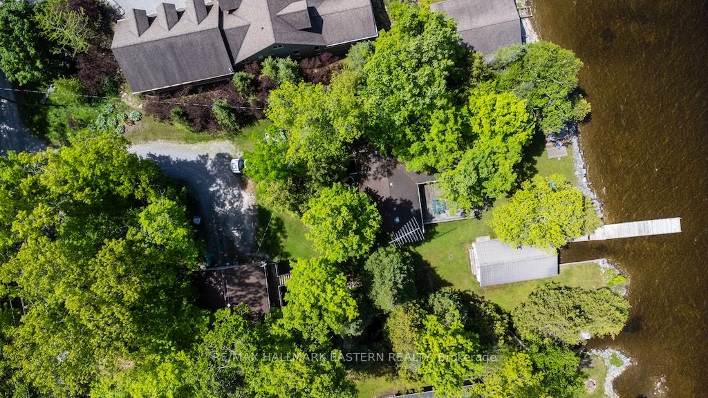 149 Fire Route 72 N/A, Trent Lakes, ON K0L 1J0 photo 3
