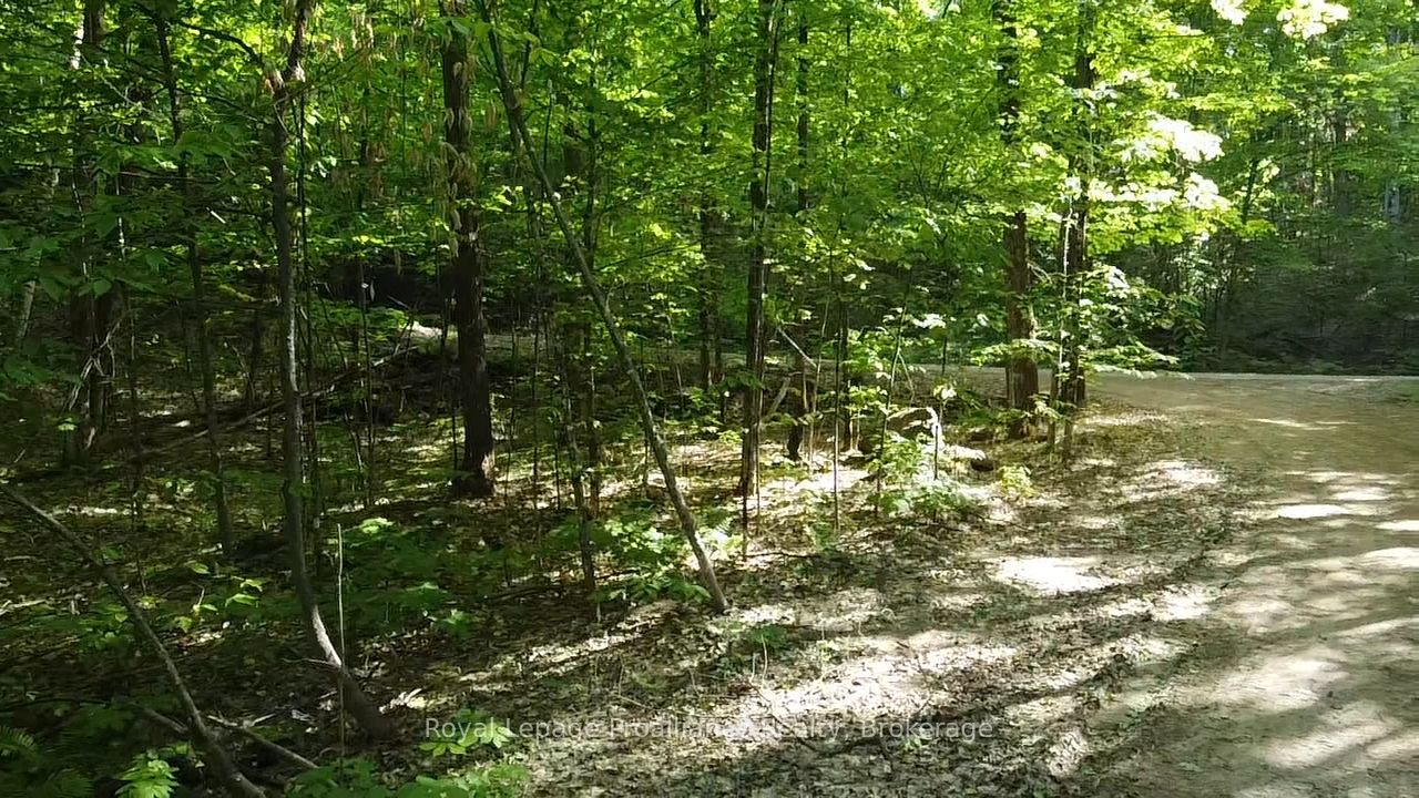 C8 Pt L2 Con 8 Pt Lot 22 N/A, Frontenac, ON K0H 1K0 photo 5