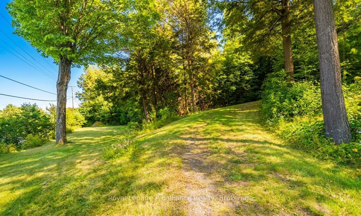 17100 Highway 41, Addington Highlands, ON K0H 1K0 photo 3