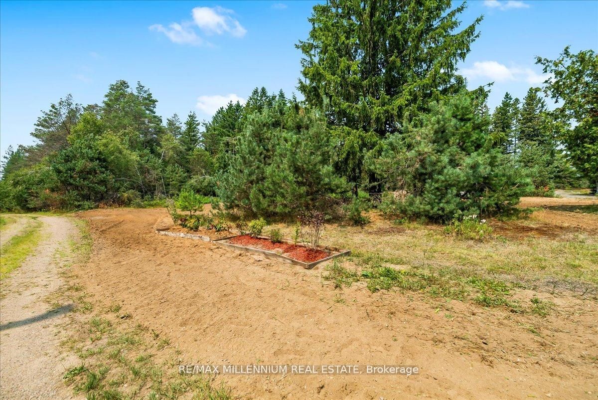 3529 Highway 118 E, Bracebridge, ON P1L 1X1 photo 5