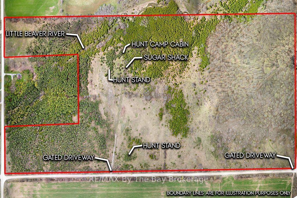 353814 Osprey Artemesia Townline, Grey Highlands, ON N0C 1J0 photo 3