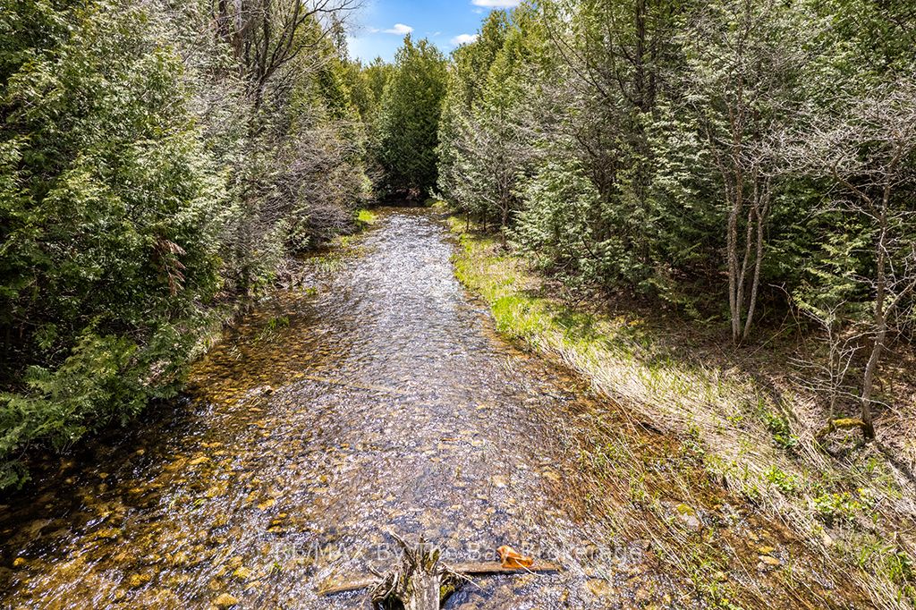 353814 Osprey Artemesia Townline, Grey Highlands, ON N0C 1J0 photo 4